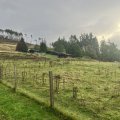 IMG_0607.