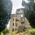 IMG_0612.
