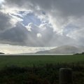 IMG_0630.