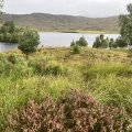 IMG_0665.