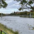 IMG_0691.
