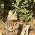 IMG_0740.