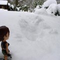 20060310 | Comments: 1
