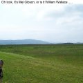 20070538