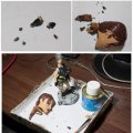20120205 | Comments: 1