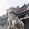 20120230