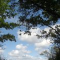 20120862