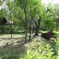 Nehru Zoological Park1 - MonkyV3