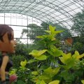 Ramoji Studios7 - Butterfly Park