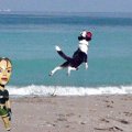 JunoJim4. | Comments: 1