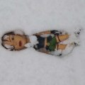 snow