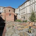 IMG_20231008_110839