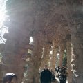 IMG_20231203_115415