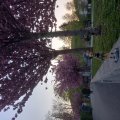 Ljubljana